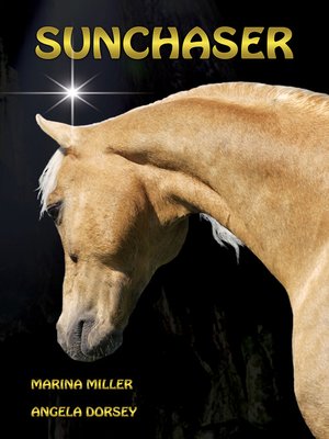 cover image of Sun Chaser